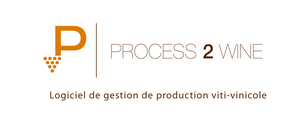 logo P2W 2